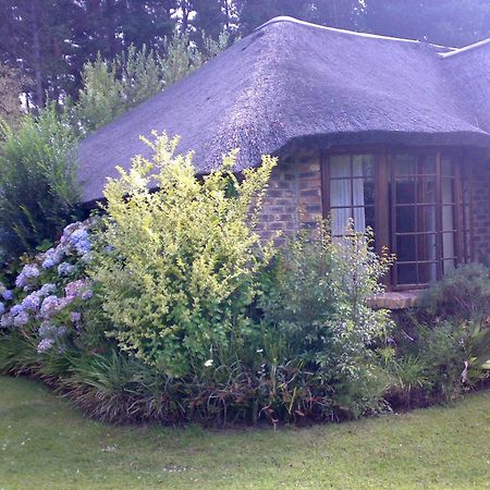 Coral Tree Cottages Harkerville Экстерьер фото