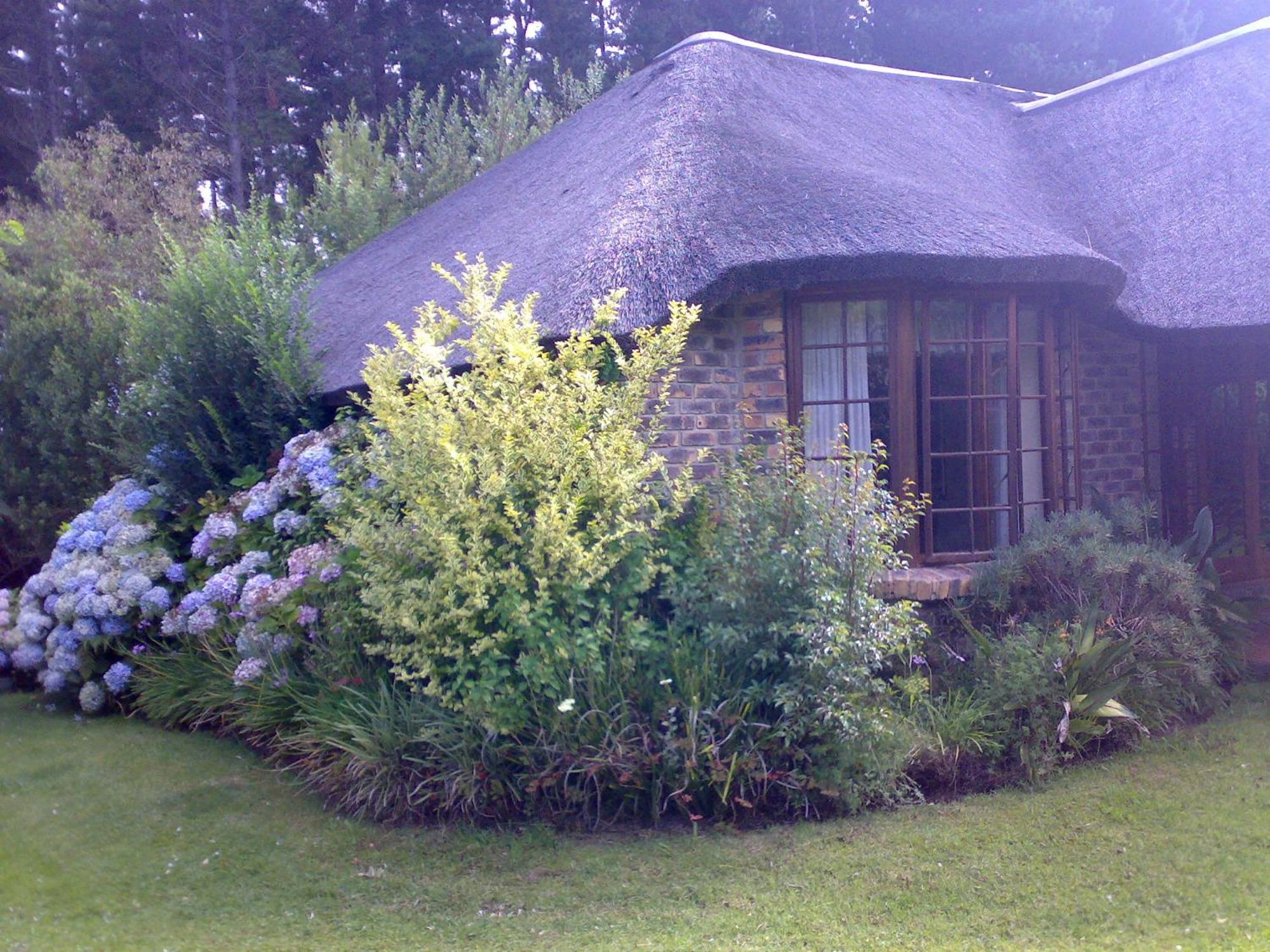 Coral Tree Cottages Harkerville Экстерьер фото