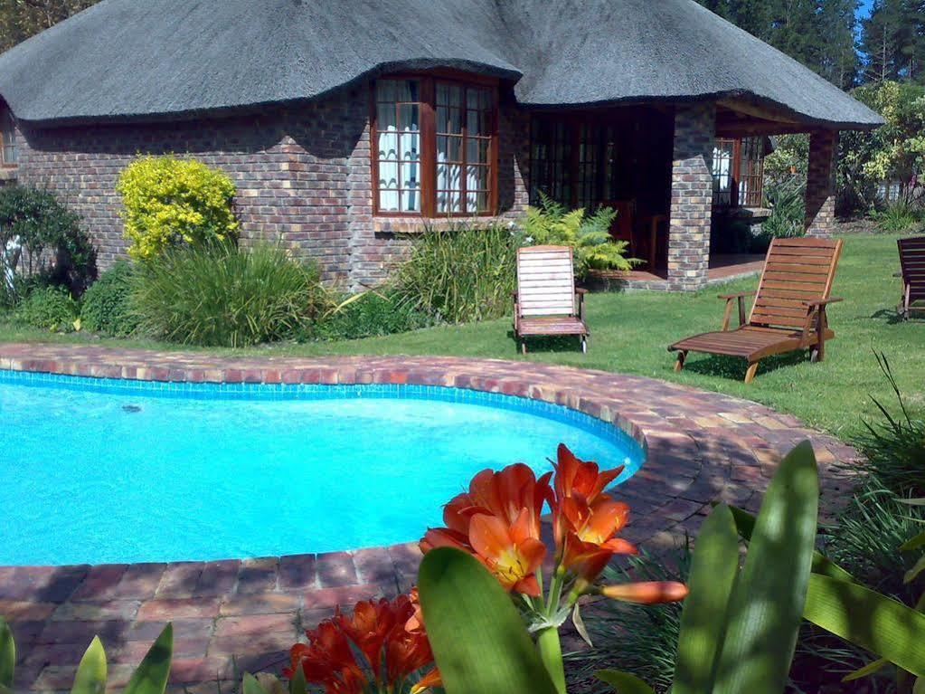 Coral Tree Cottages Harkerville Экстерьер фото